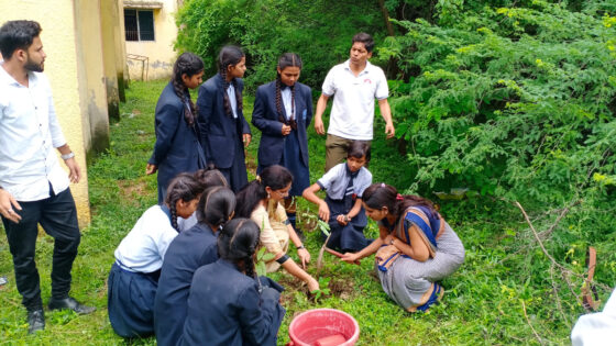 वृक्षारोपण